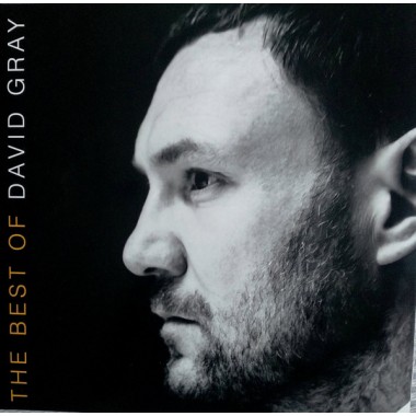 David Gray - The Best Of David Gray (2LP)(UK Edition)