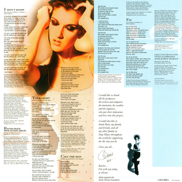 Celine Dion - Falling Into You(2 LP)