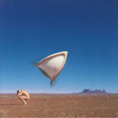 The Cranberries - Bury The Hatchet: The Complete Sessions(2 LP)