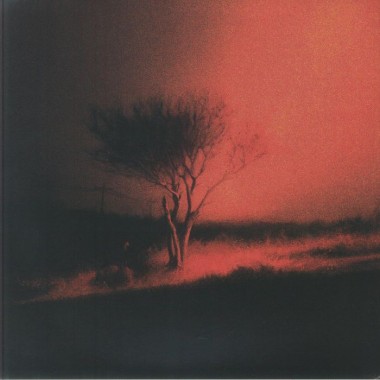 Joji - Piss In The Wind(Black Vinyl)+poster