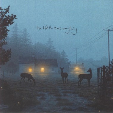 Dermot KENNEDY - I've Told The Trees Everything