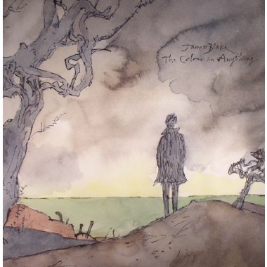 James Blake - The Colour In Anything(2 LP)