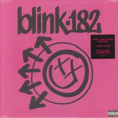 Blink 182 - One More Time(2 LP)(Purple Vinyl)