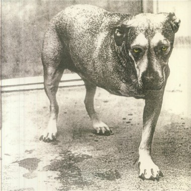 Alice In Chains - Alice In Chains(2 LP)(Yellow Vinyl)