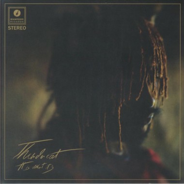 THUNDERCAT - It Is What It Is(Red Vinyl)